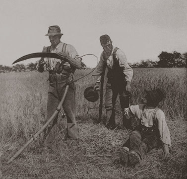 Bauernstand @ wikipedia.org
Peter Henry Emerson: In The Barley Harvest