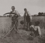 Bauernstand @ wikipedia.org
Peter Henry Emerson: In The Barley Harvest