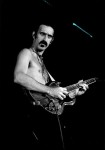 FrankZappa @ wikipedia.org
© 1977 Mark Estabrook