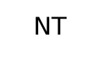 NT