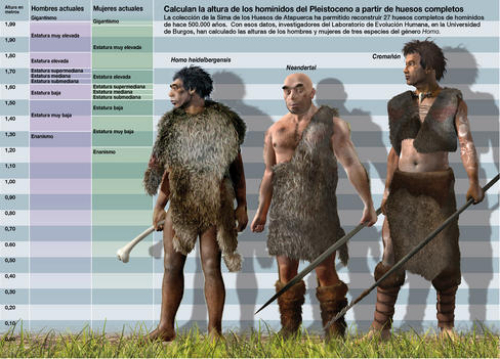 HomoHeidelbergensis @ sciencedaily,com
© Image courtesy of Plataforma SINC