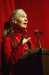 JG @ janegoodall.org