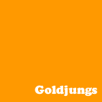 goldjungs @ goldjungs.com