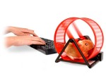 hamster-wheel @ ubergizmo.com